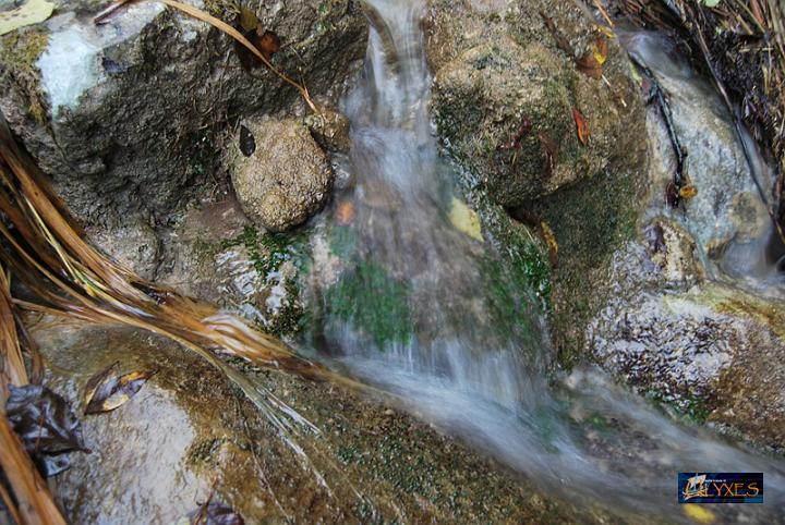 acqua corrente.JPG